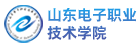 山东电子职业技术学院