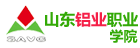 山东铝业职业学院